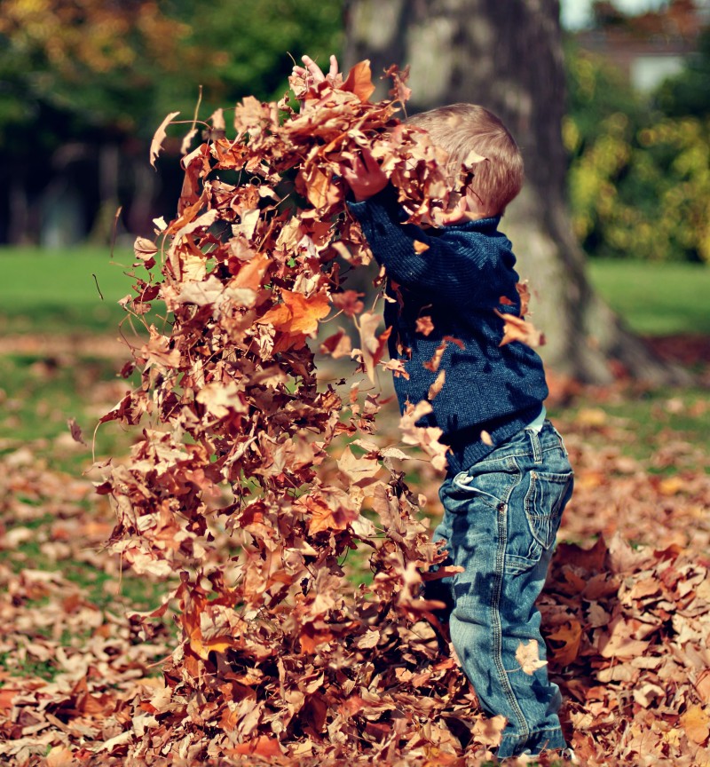 Jongetje speelt met bladeren